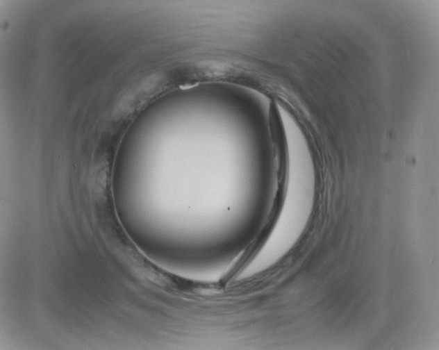 X0000081490509200701262057