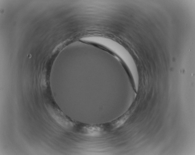 X0000081490512200701262057