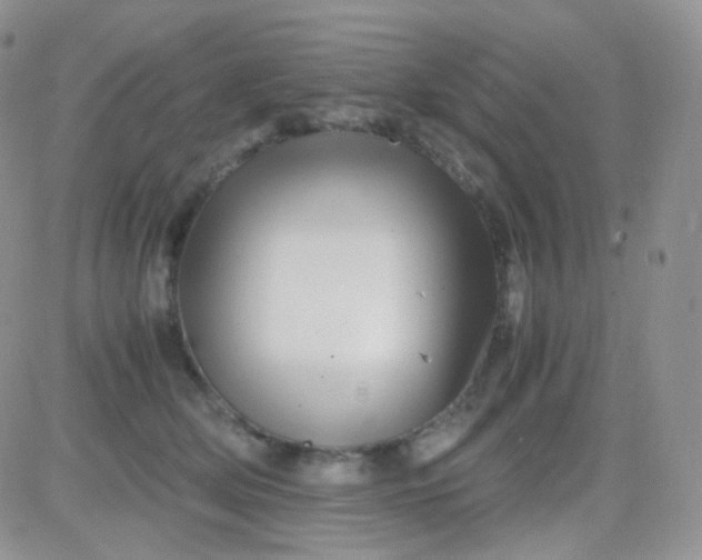 X0000081490514200701262057