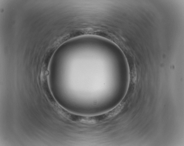 X0000081490515200701262057