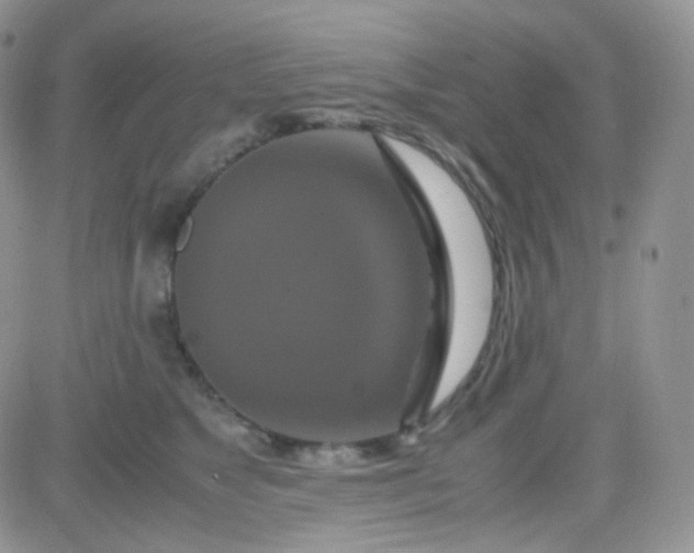 X0000081490517200701262057