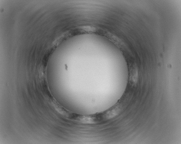 X0000081490518200701262057