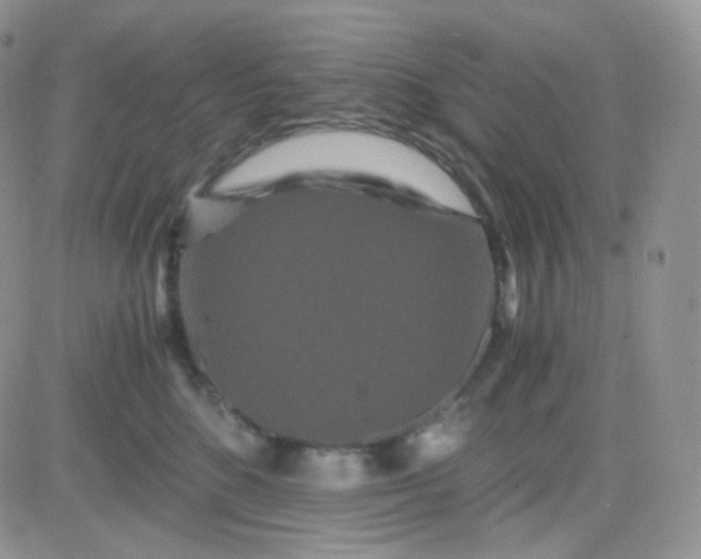 X0000081490520200701262057