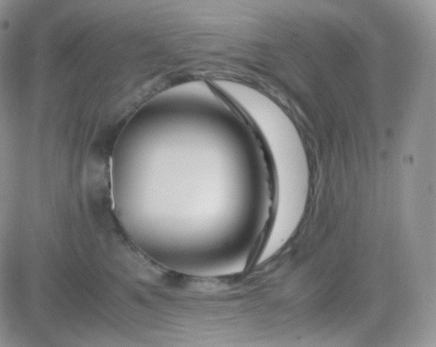 X0000081490521200701262057