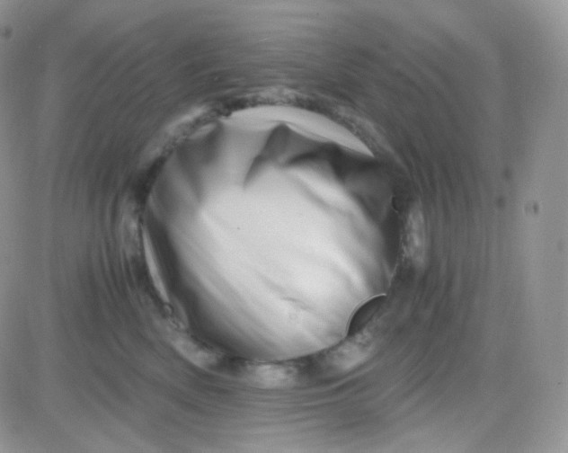 X0000081490522200701262057