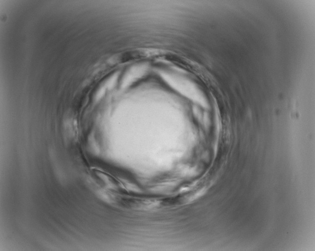 X0000081490523200701262057