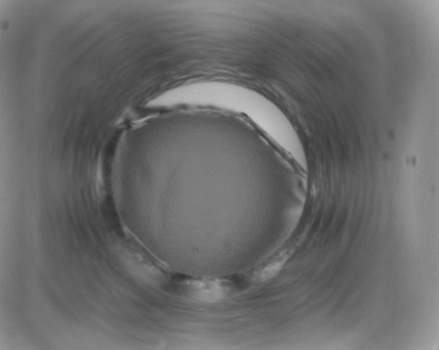 X0000081490524200701262057