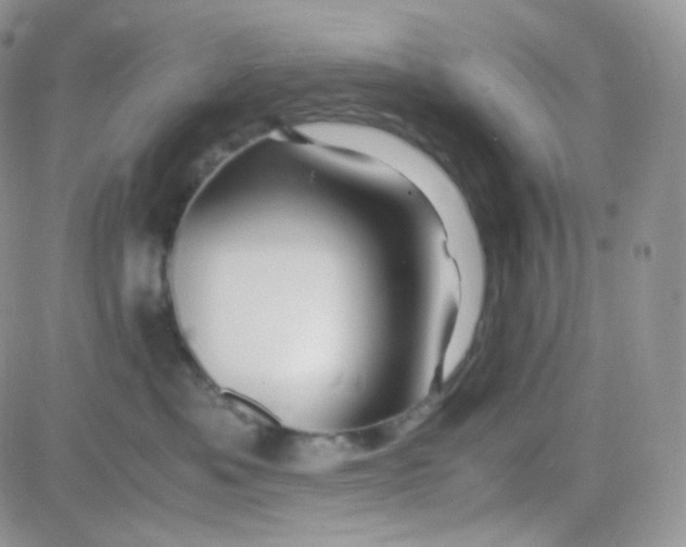 X0000081490525200701262057