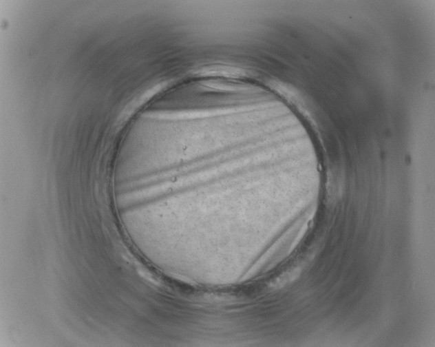 X0000081490529200701262056