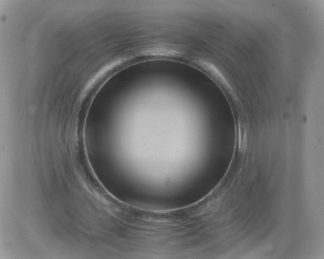 X0000081490531200701262056