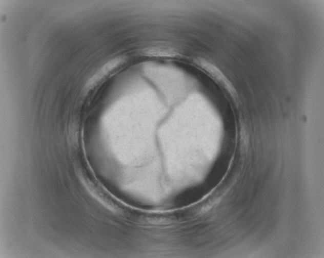 X0000081490533200701262056