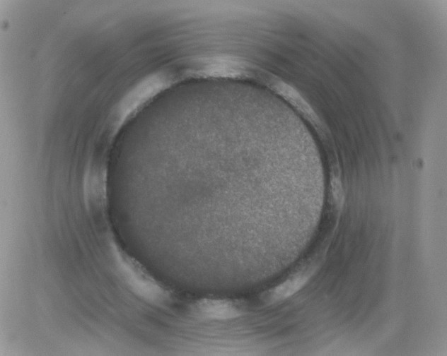 X0000081490534200701262056