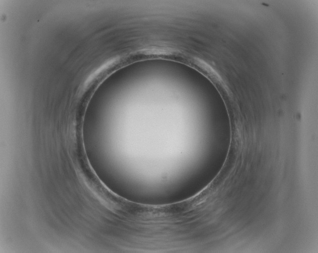 X0000081490535200701262056