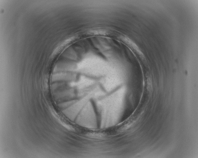 X0000081490537200701262056