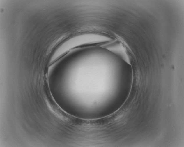 X0000081490538200701262056