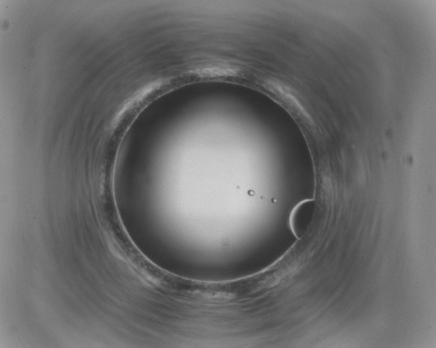 X0000081490539200701262056