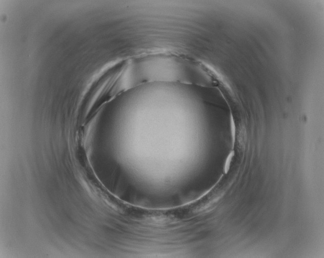 X0000081490540200701262056