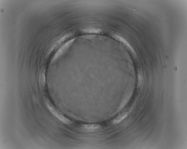 X0000081490541200701262056