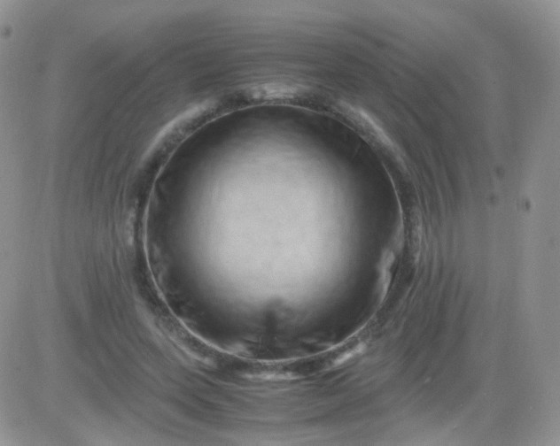 X0000081490543200701262056