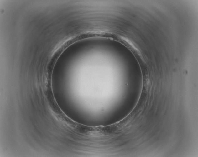 X0000081490544200701262056