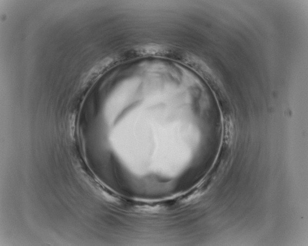 X0000081490545200701262056