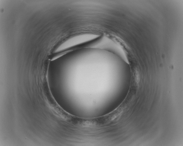 X0000081490546200701262056