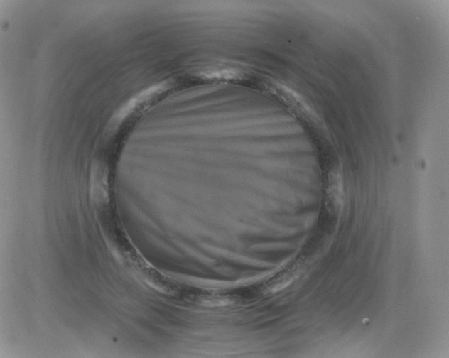 X0000081490547200701262056