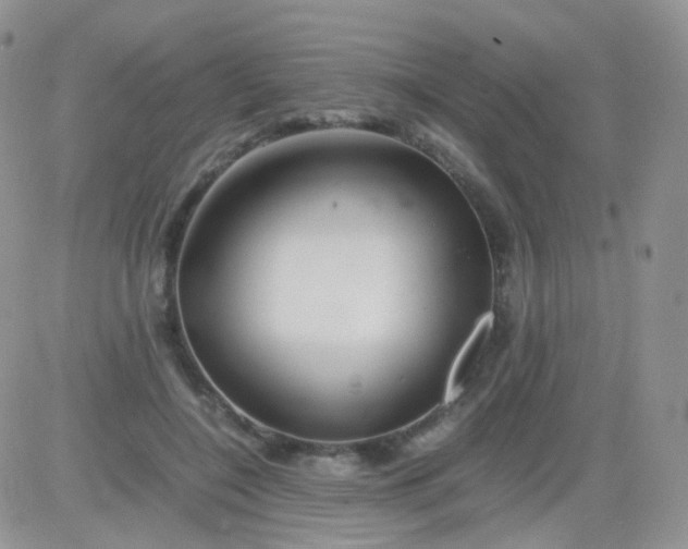 X0000081490548200701262056