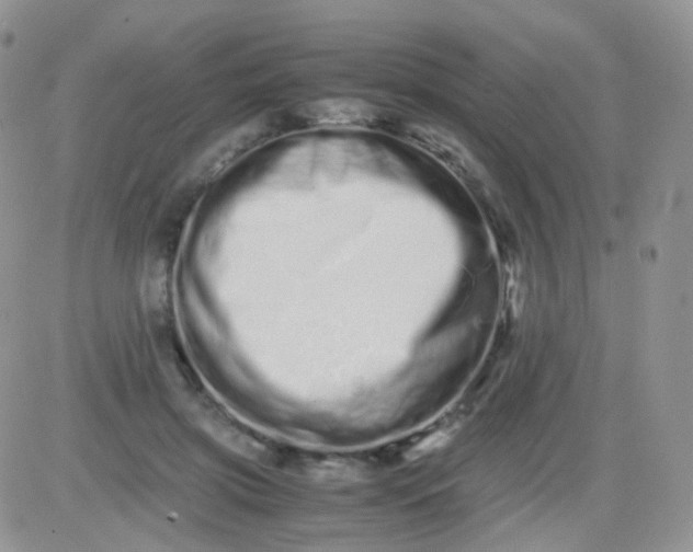 X0000081490549200701262056