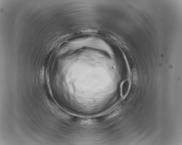 X0000081490550200701262056