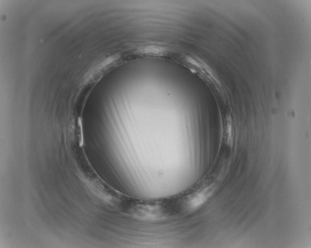 X0000081490552200701262056