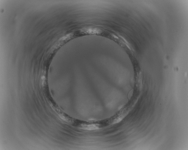 X0000081490553200701262056