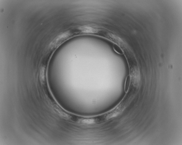 X0000081490554200701262056