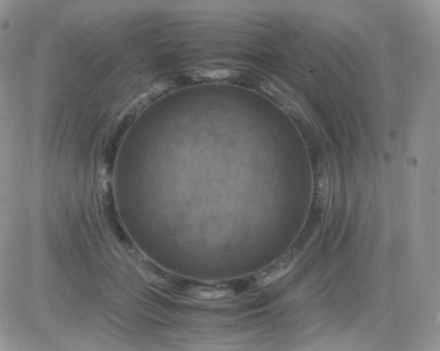 X0000081490555200701262056