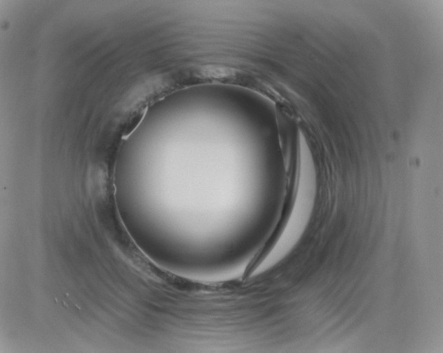 X0000081490556200701262056