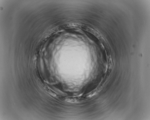 X0000081490557200701262056