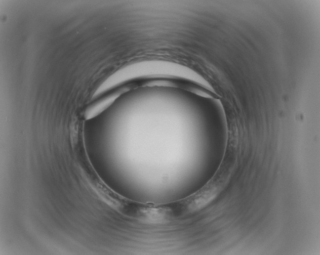 X0000081490558200701262056