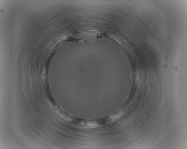 X0000081490559200701262056