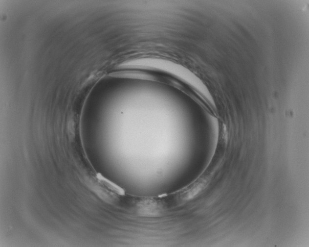 X0000081490562200701262056