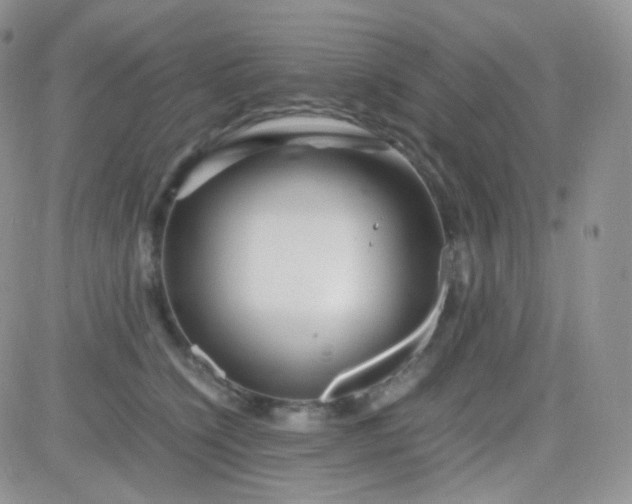 X0000081490564200701262056