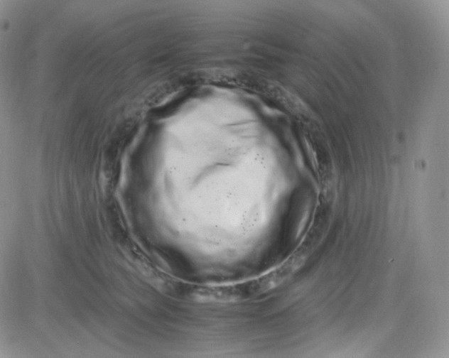 X0000081490565200701262056