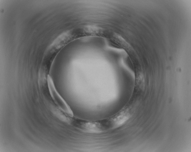 X0000081490566200701262056