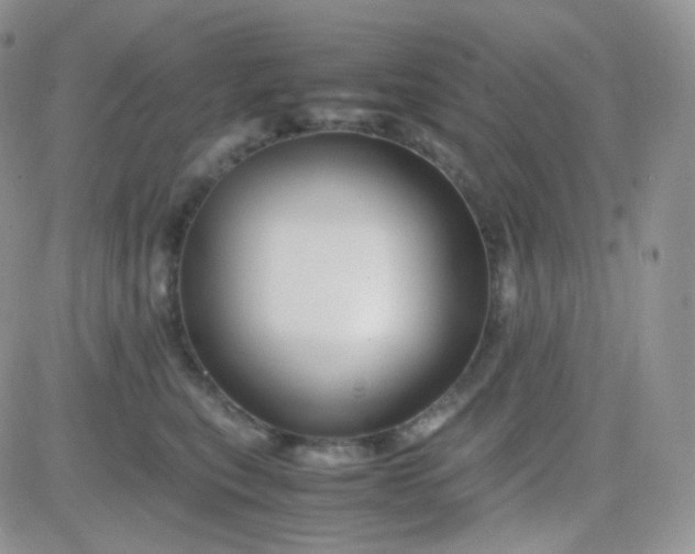 X0000081490567200701262056