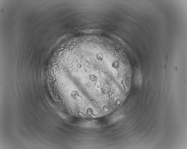 X0000081490569200701262057