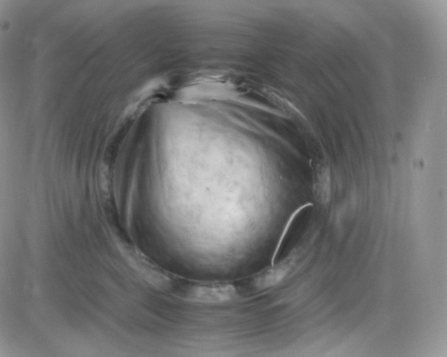 X0000081490571200701262057