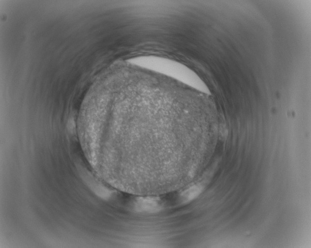 X0000081490573200701262057