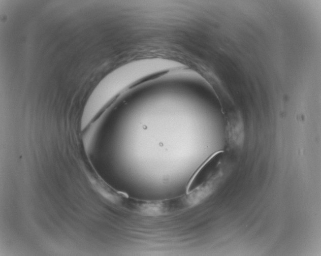 X0000081490574200701262057