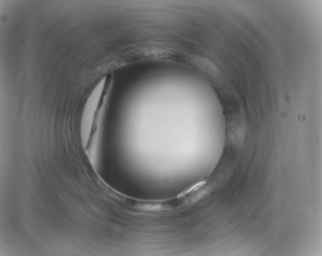 X0000081490575200701262057