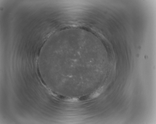 X0000081490576200701262057