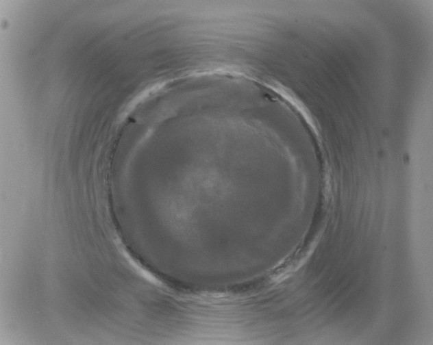 X0000081490577200701262056